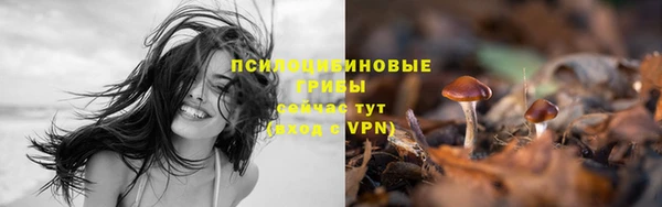 синтетический гашиш Алексеевка