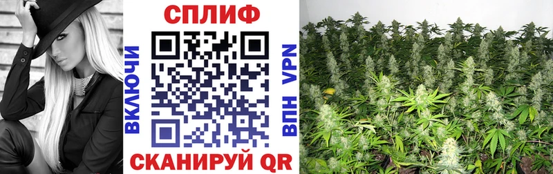 цена   Брюховецкая  блэк спрут ONION  Бошки Шишки OG Kush 